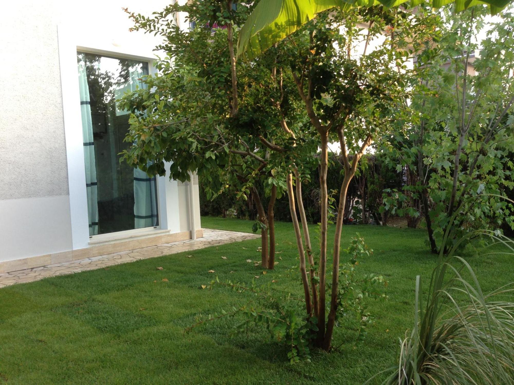 Apartmán Loft 3, A 150 M Dal Mare, Pineto Centro Exteriér fotografie